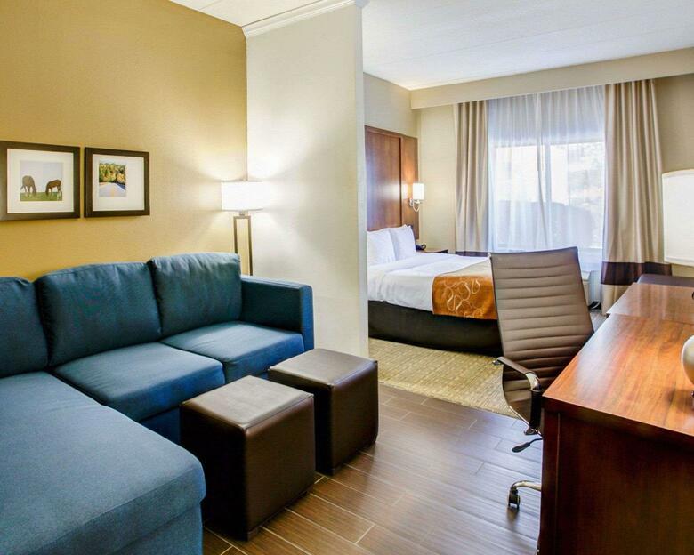 Hotel Comfort Suites