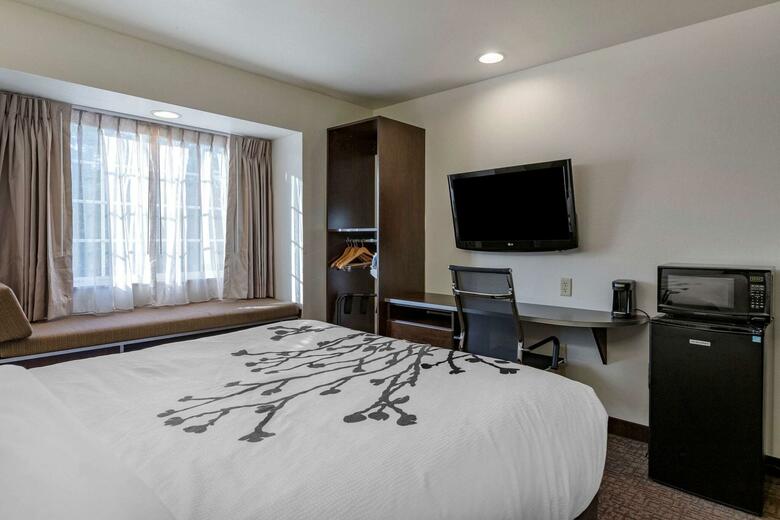 Hotel Microtel Inn & Suites By Wyndham Kalamazoo