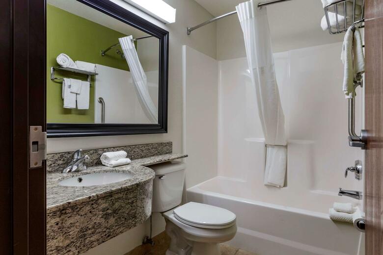 Hotel Microtel Inn & Suites By Wyndham Kalamazoo