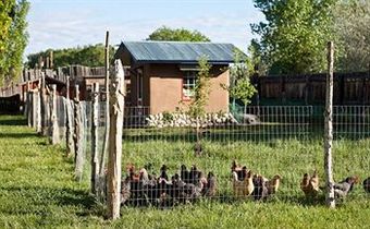Bed & Breakfast Casa Gallina