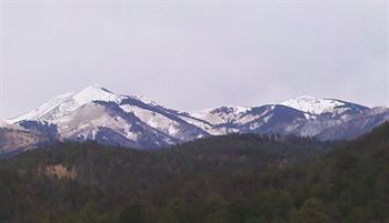 Hotel Swiss Chalet Inn