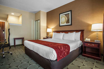 Hotel Comfort Suites