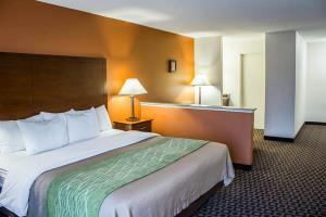 Hotel Comfort Inn