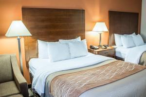 Hotel Comfort Inn