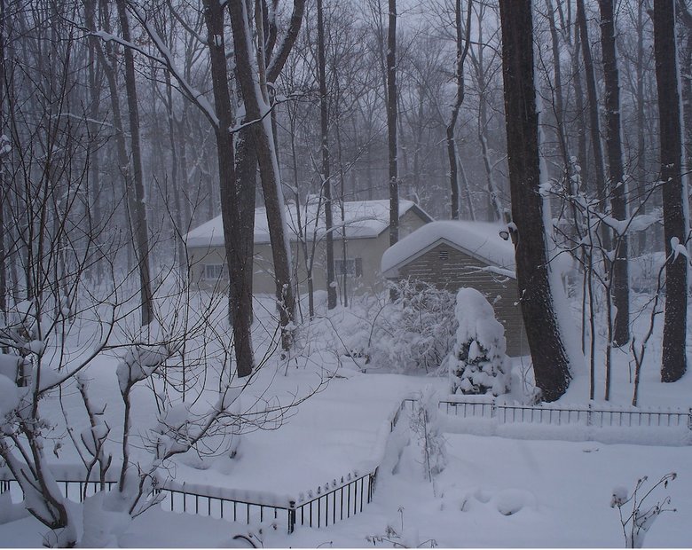 Bear House Bed And Breakfast