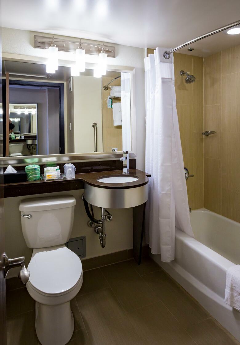 Hotel Holiday Inn Houston Downtown