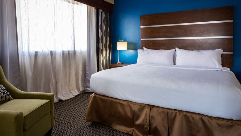 Hotel Holiday Inn Houston Downtown