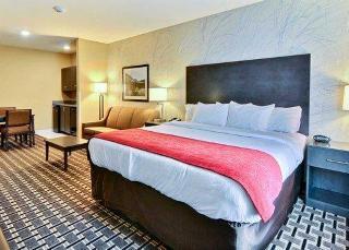 Hotel Comfort Suites