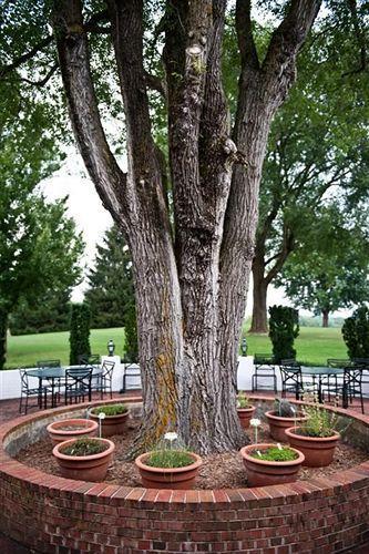 Bed & Breakfast Inn At Old Virginia