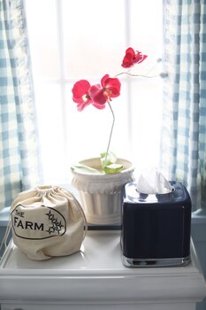 Bed & Breakfast Inn At Old Virginia