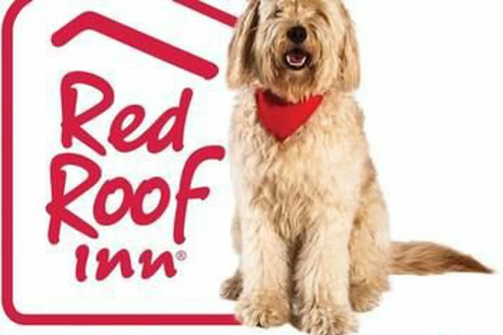 Hotel Red Roof Inn New Braunfels