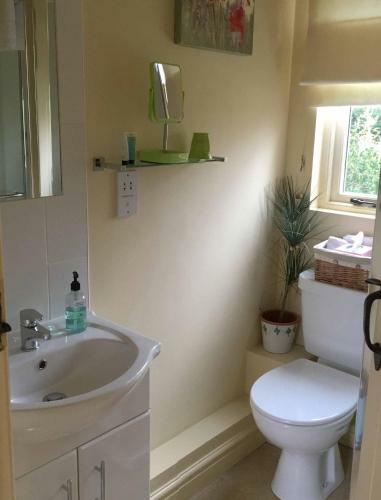 The Steppes - B&B