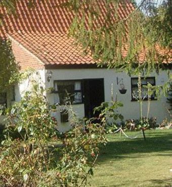 The Vines B&B