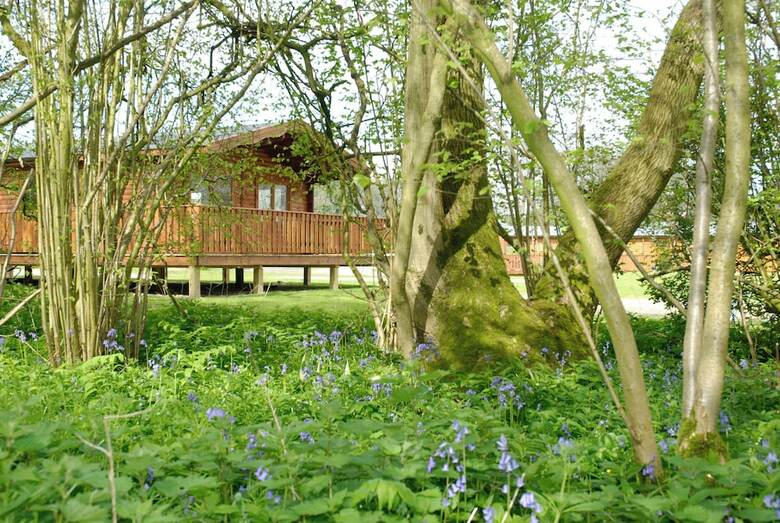 Posada South Winchester Lodges