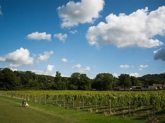 Apartamento Aldwick Court Farm & Vineyard