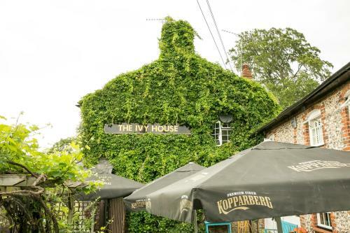Hostal The Ivy House