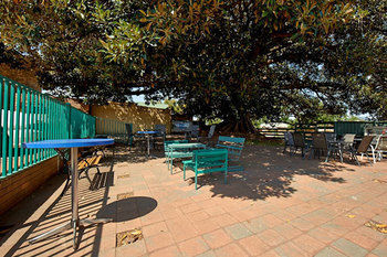 Fig Tree Motel