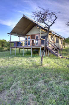 Posada The Springbok Lodge
