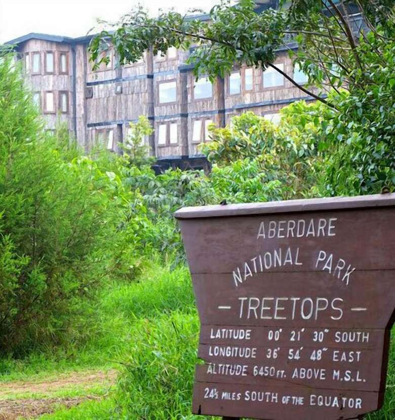 Lodge Treetops