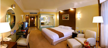 Hotel Millennium (s�lo Hab Dlx)