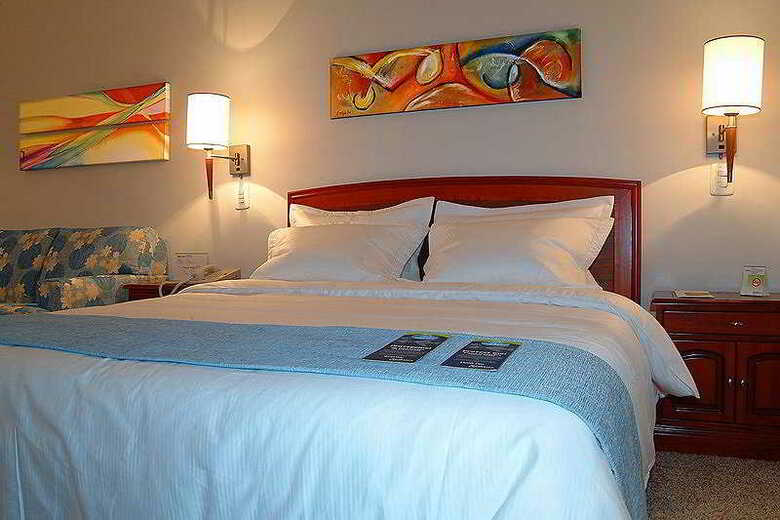 Hotel NH Royal Cali