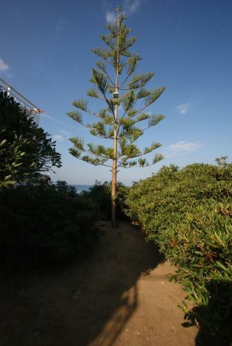 Apartamento Manthos