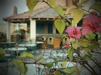 Hotel Park Inn Jaipur