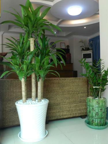 Real Link Hotel