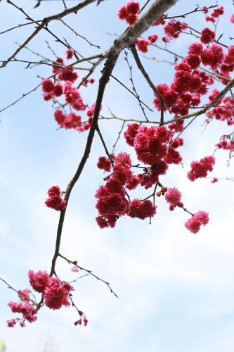Ming Xuan Xiao Ju Homestay