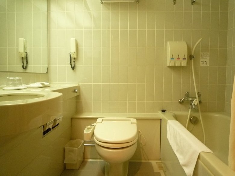 Hotel Ana Sapporo