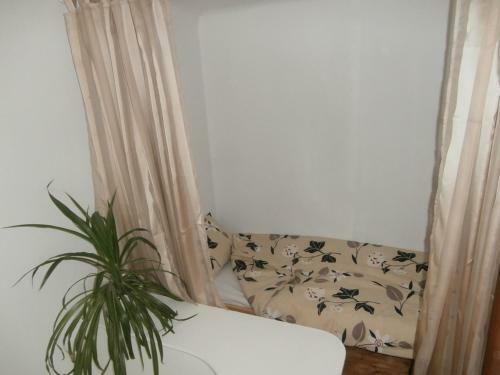 Private Apartment For You