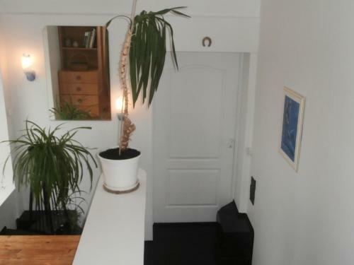 Private Apartment For You
