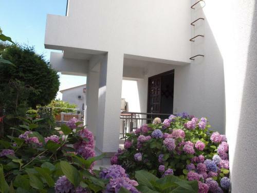 Apartments Materada