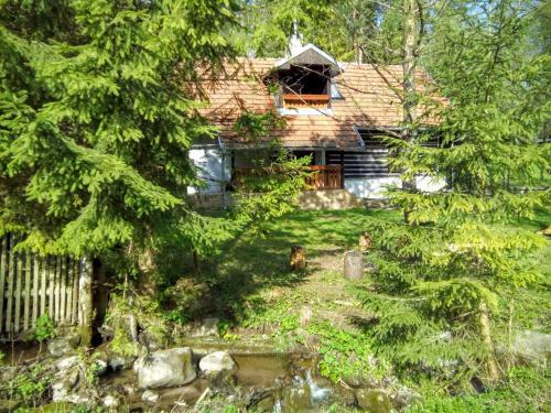 Lodge Baby Bear Cottage