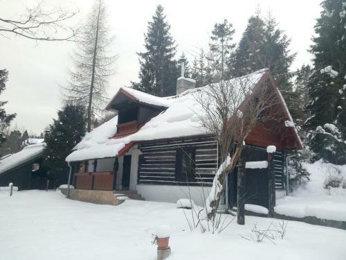 Lodge Baby Bear Cottage