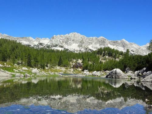 Holiday Home Bled Wes