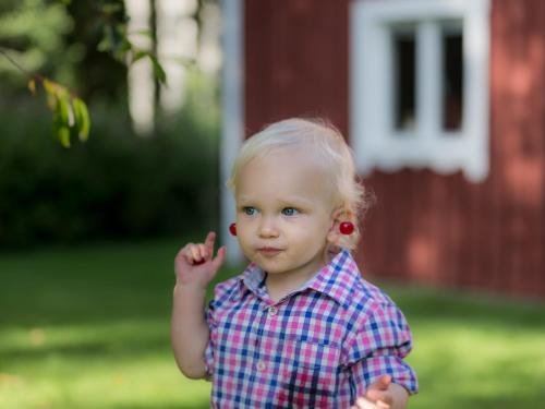Agroturismo Lovelund Farm House