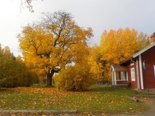 Agroturismo Lovelund Farm House