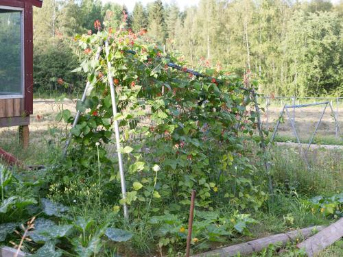 Agroturismo Lovelund Farm House