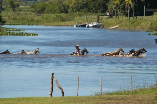 Bamb� River Lodge
