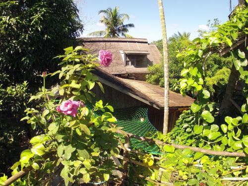 Hostal Bukit Raya Guesthouse