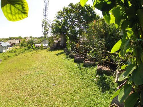 Hostal Bukit Raya Guesthouse