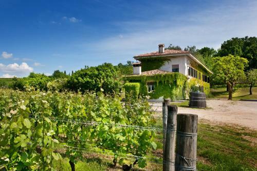 Agroturismo Agriturismo Tra Le Vigne