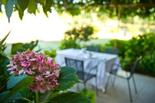 Agroturismo Agriturismo Tra Le Vigne