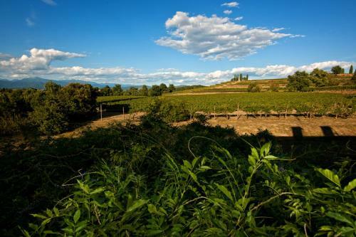 Agroturismo Agriturismo Tra Le Vigne