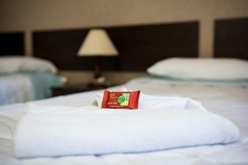 Hostal Pousada �guas Claras