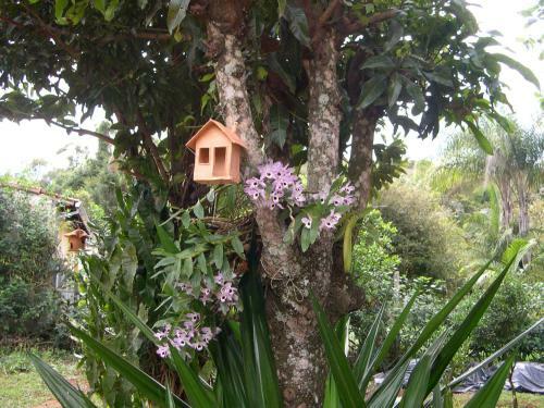 Hostal Ti� Isolda Artes & Hospedaria
