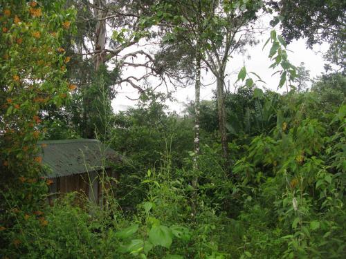 Ecolodge Kasaguadua
