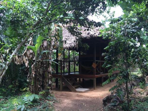 Anaconda Lodge