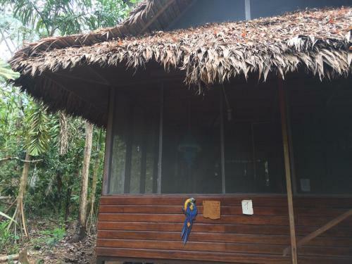 Anaconda Lodge